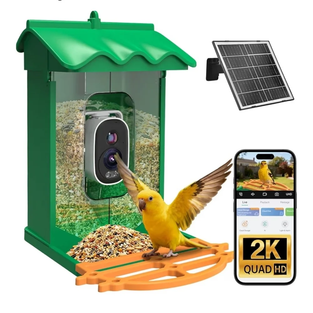 Solar Powered Smart Bird Feeder With Camera